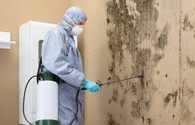 Tappan, NY Mold Removal & Remediation Company